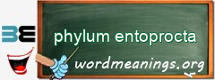 WordMeaning blackboard for phylum entoprocta